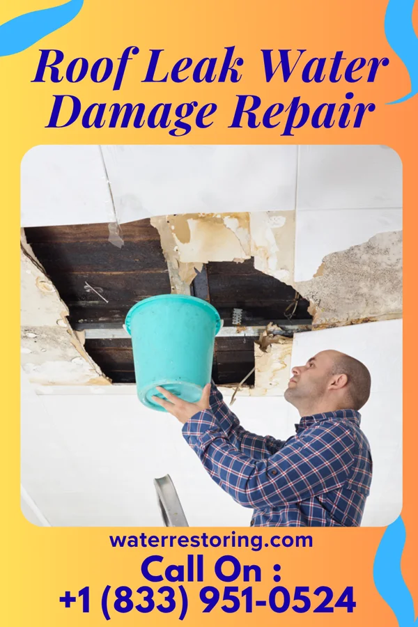 Roof Leak Water Damage Repair in Biscoe, NC